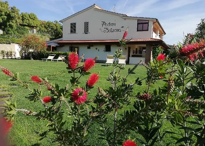 Agriturismo Diaccia Botrona