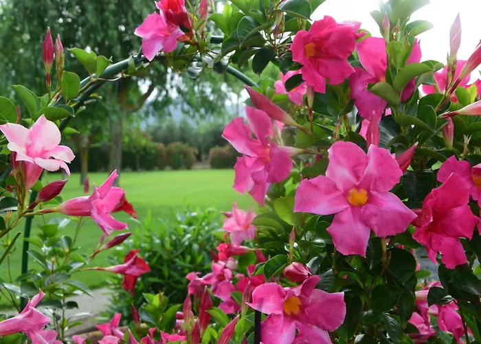 Agriturismo Bocci